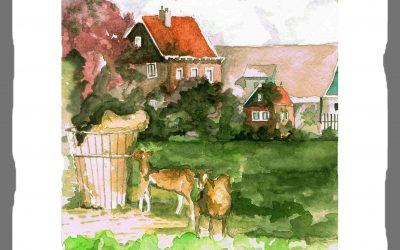 Carnet de voyage : Les Pays-Bas.